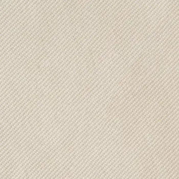 Product Variant Image: Model X Fabric White